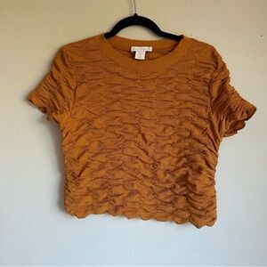 House of Harlow 1960 Textured , cropped , short sleeve top